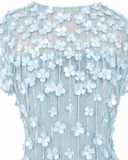 3D Applique Midi Dress with Cap Sleeves | 29186
